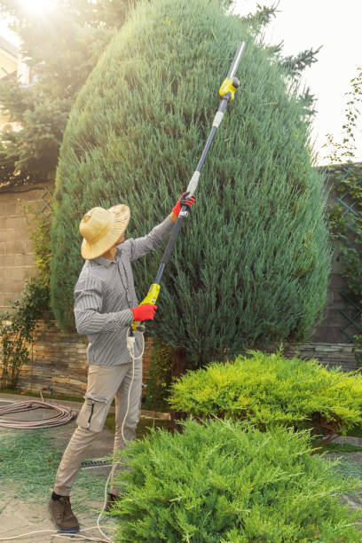 Best Weed Control  in Gloucester City, NJ